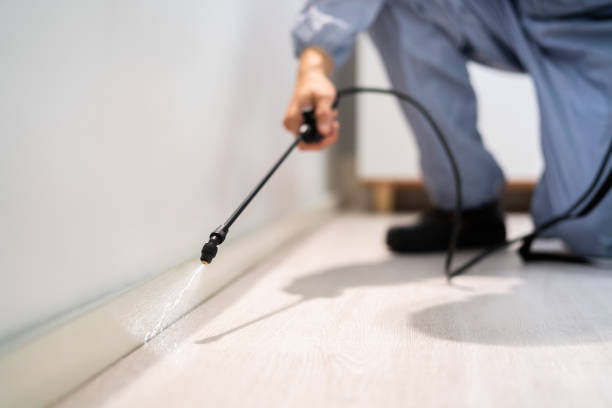 Licensed Pest Control service in South Bloomfield, OH - Show Me Pest Control
