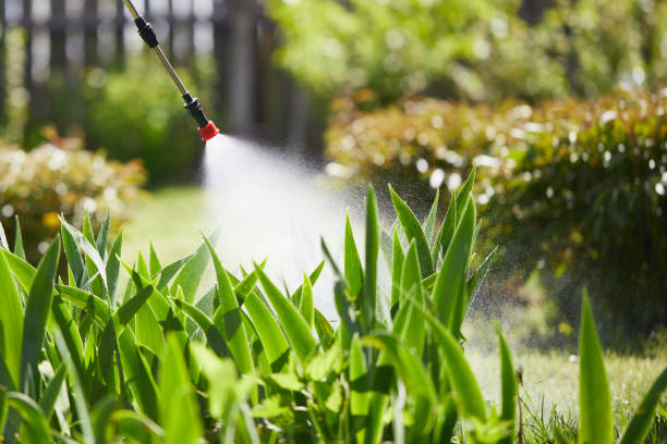 Tamper-Resistant Bait Stations for Rodents in South Bloomfield