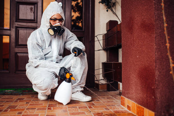 Attic and Crawl Space Rodent Treatment in South Bloomfield