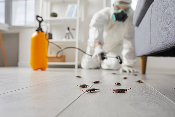 Commercial Rodent Management in South Bloomfield