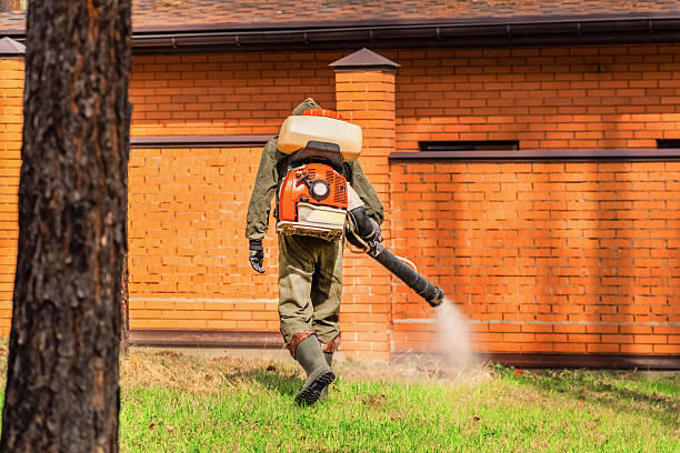 Rodent Follow-Up Monitoring in South Bloomfield